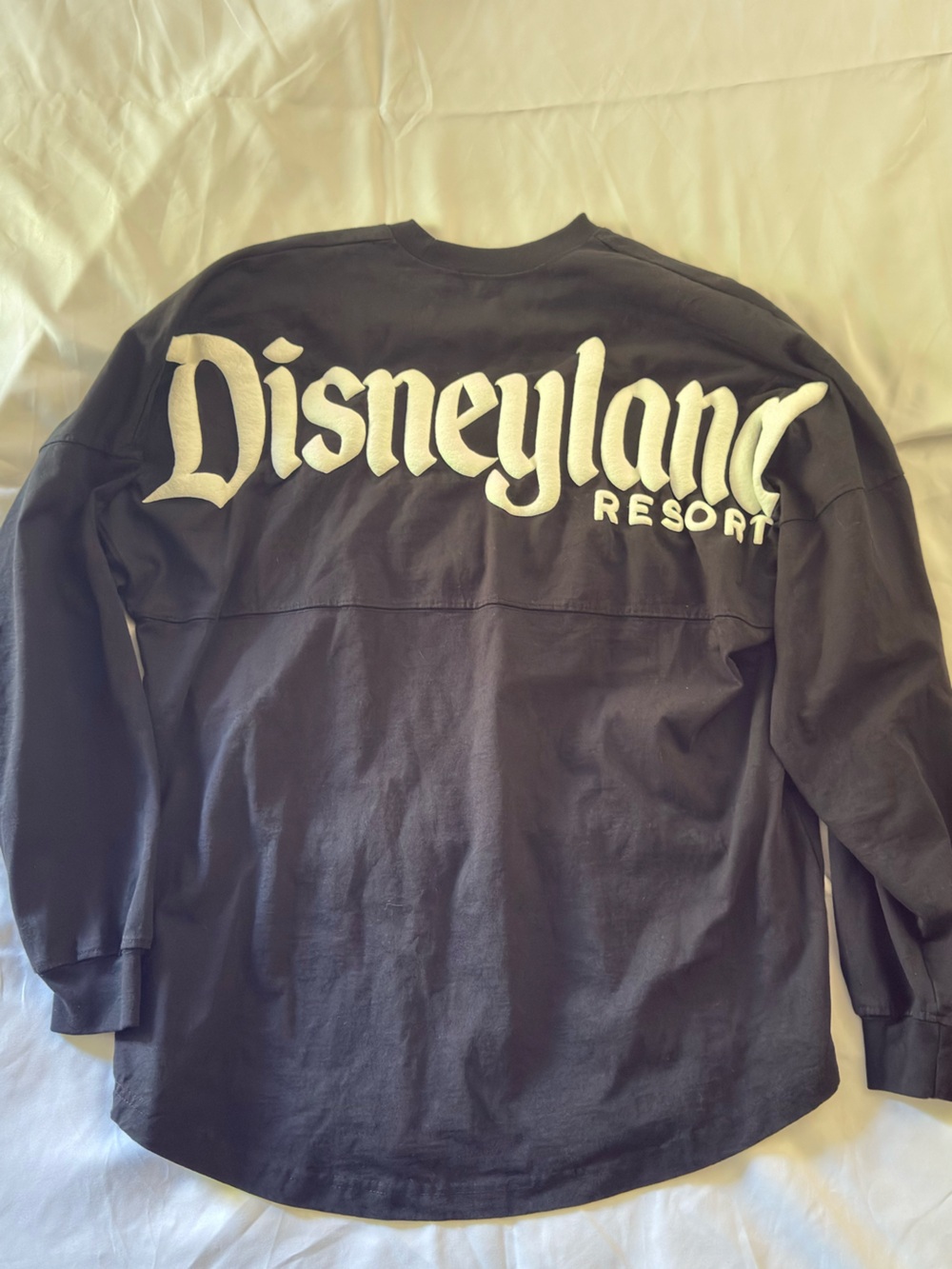 Disneyland Resort Puff Print Longsleeve Medium